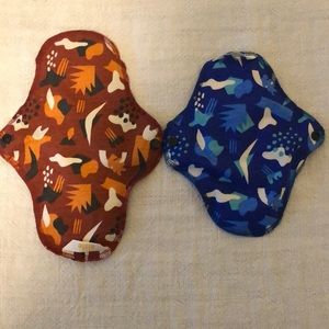 PERIOD ASILE MINI PAD & MAXI PAD